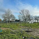 营地 Mobil-home Cosy Avec Terrasse Pour 4 Pers. - Api-1-52-1702